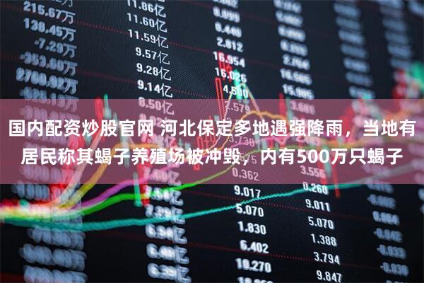 国内配资炒股官网 河北保定多地遇强降雨，当地有居民称其蝎子养殖场被冲毁，内有500万只蝎子